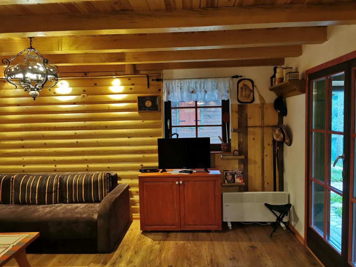 Brvnara Na Obali Reke Drine Villa Beserovina Kültér fotó