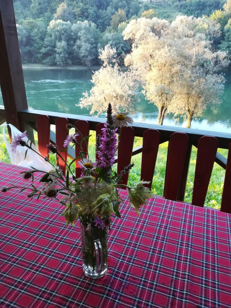 Brvnara Na Obali Reke Drine Villa Beserovina Kültér fotó
